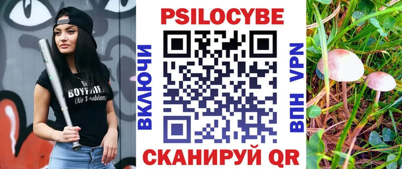 Галлюциногенные грибы Cubensis  Черняховск 
