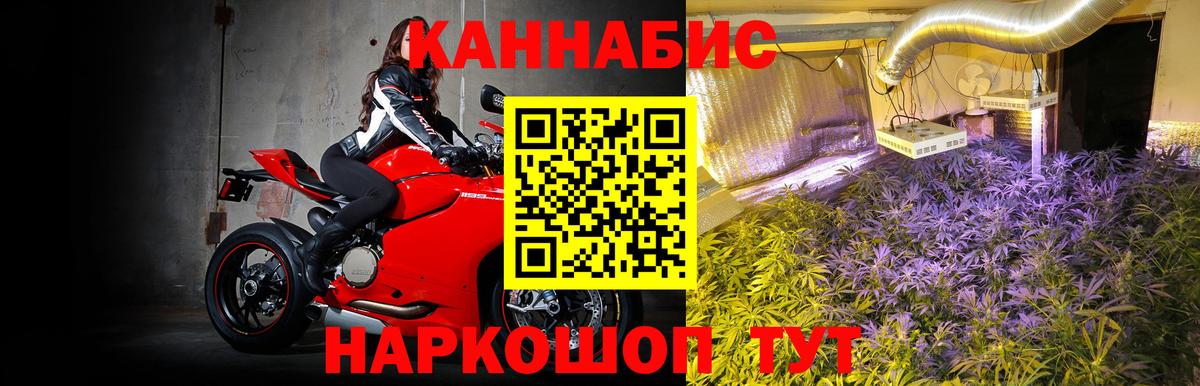 Черняховск  Бошки Шишки планчик  Бошки марихуана сатива  Бошки Шишки OG Kush  Вход с VPN  Марихуана OG Kush 